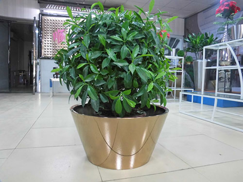 廣東汕頭不銹鋼花盆哪家做的好？